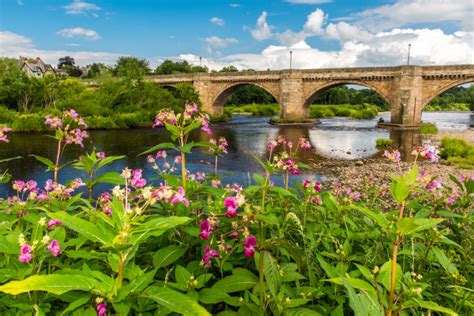 Corbridge Additional Info .